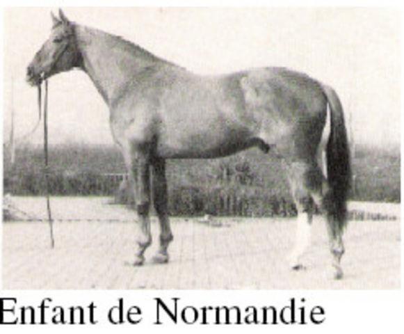 Enfant De Normandie